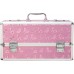 Великий кейс для зберігання секс-іграшок BMS Factory Large Lokable Vibrator Case Pink - 2