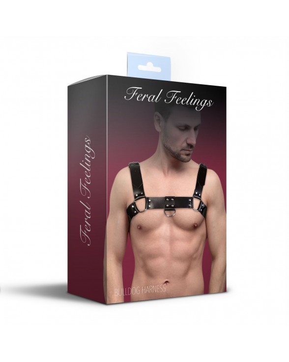 Мужская портупея из натуральной кожи Feral Feelings - Bulldog Harness Black - 2