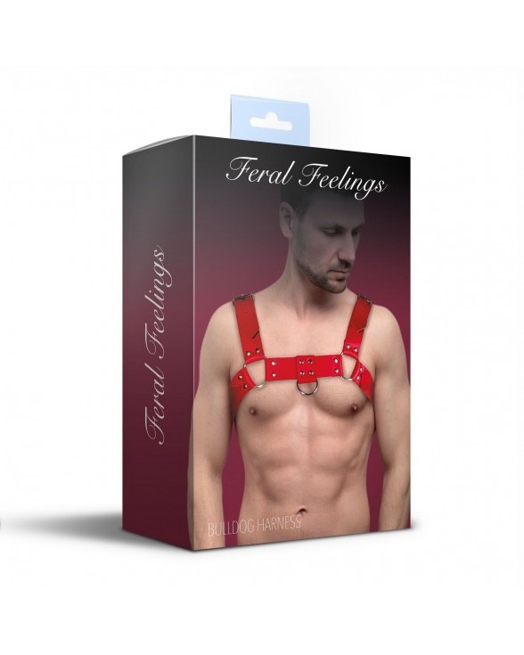 Мужская портупея на грудь из натуральной кожи Feral Feelings - Bulldog Harness Red - 2
