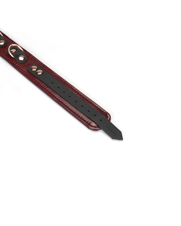 Ошейник с поводком Liebe Seele Wine Red Collar and Leash - 5