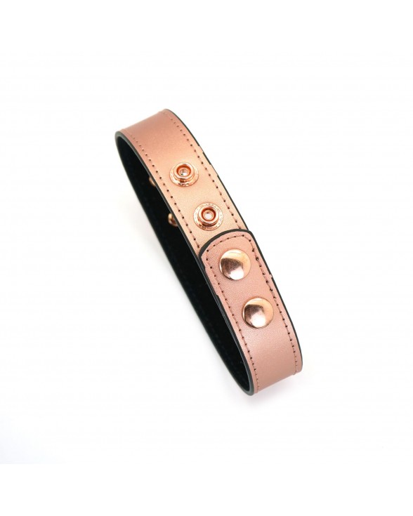 Нашийник із затискачами для сосків Liebe Seele Rose Gold Memory Collar with Nipple Clamps - 10