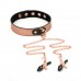 Нашийник із затискачами для сосків Liebe Seele Rose Gold Memory Collar with Nipple Clamps - 7