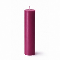 Свеча для WaxPlay Feral Feelings classic 15 см Cherry