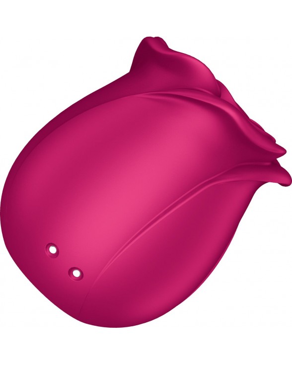 Вакуумний кліторальний стимулятор Satisfyer Pro 2 Classic Blossom - 2